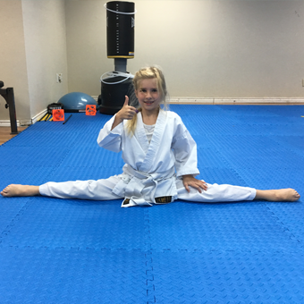 training Dojo